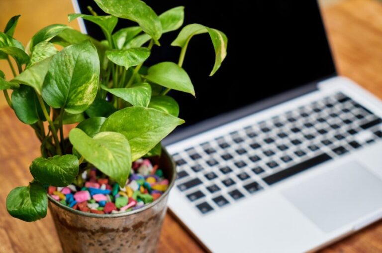 Yeni Web Sitemiz Yayında